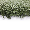 Natural Dark Green Boxwood Artificial Vertical Garden Green Wall Panel 40×40in 11 SQ FT – NFPA701 Fire Rated – UV Resistant – Commercial Grade