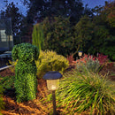Boxwood Dog Artificial Topiary – Indoor and Outdoor by Designer Plants USA