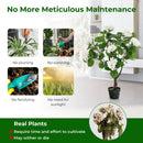 Artificial Hydrangea Tree Fake Floral Plant with 11 White Flowers-White by LJGDeals