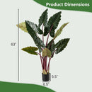 Artificial Rainbow Taro Tree 63" Tall with 11 Faux Leaves by LJGDeals