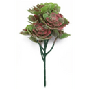 Red and Green Aeoniums Succulent Artificial Topiary Set of 5 11.8in – UV Resistant