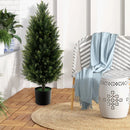 3 Feet Artificial Topiary Cedar Tree with Cement Plastic Pot and Faux Moss-Green by LJGDeals