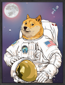 Doge astronaut