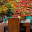 Colorful Teal Water Lake View Landscape Wallpaper Mural.