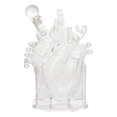 Heart Decanter Whiskey & Wine Decanter Set (750 ML)