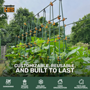 5' or 6' Monster Plant Support!  Custom Trellis & Tomato Cage Kit - The All Purpose Heavy Lifter
