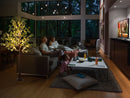 5.9ft Lighted Eucalyptus Tree with LED Fairy Lights by EP Designlab LLC