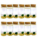Fortune Moss Kit Office Desktop Decor