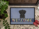 Black Labrador Welcome Doormat - 24x36 Decorative Floor Mat – Indoor/Outdoor Rug with Artistic Flair BB1421JMAT