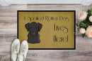 Black Labrador Spoiled Dog Lives Here Doormat - 24x36 Decorative Floor Mat – Indoor/Outdoor Rug with Artistic Flair BB1483JMAT