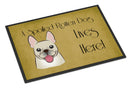 French Bulldog Spoiled Dog Lives Here Doormat Indoor Outdoor 24H X 36W Front Door Mat Rugs for Entryway, Non Slip Washable Low Pile,