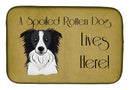 Border Collie Spoiled Dog Lives Here Dish Drying Mat – Absorbent, Artistic Kitchen Essentials BB1489DDM