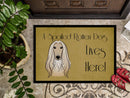 Afghan Hound Spoiled Dog Lives Here Doormat - 24x36 Decorative Floor Mat – Indoor/Outdoor Rug with Artistic Flair BB1492JMAT