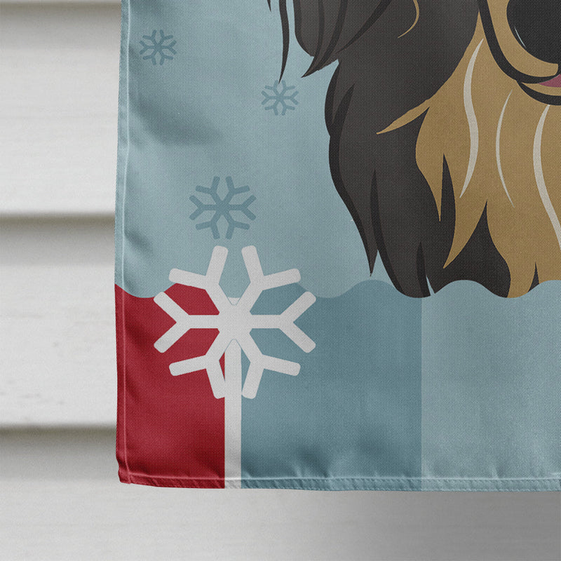 Winter Holiday Longhair Black and Tan Dachshund Flag Canvas House Size BB1709CHF