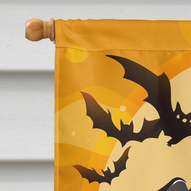 Halloween Black Labrador Flag Canvas House Size BB1793CHF