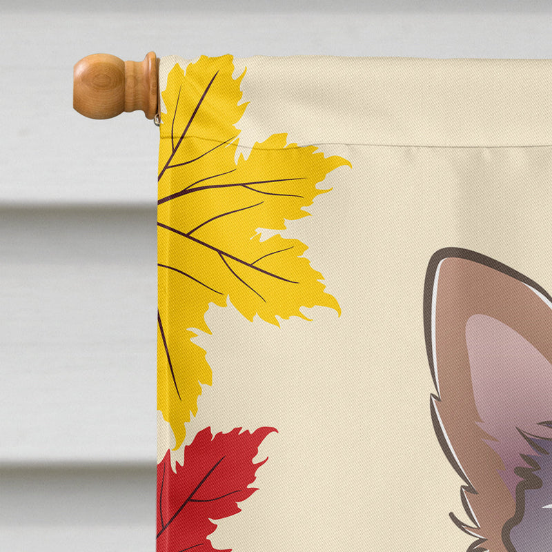 Yorkie Puppy Thanksgiving Flag Canvas House Size BB2038CHF