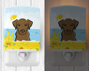 Chocolate Labrador Summer Beach Ceramic Night Light Compact, UL-Certified, Ideal for Bedroom, Bathroom, Nursery, Hallway, Kitchen, 6x4x3, Multicolor