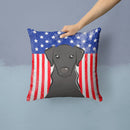 American Flag and Black Labrador Throw Pillow - 14x14 Decorative Pillow – Art for Your Home & Patio BB2165PW1414
