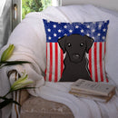 American Flag and Black Labrador Throw Pillow - 14x14 Decorative Pillow – Art for Your Home & Patio BB2165PW1414