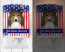 American Flag and Sheltie Ceramic Night Light BB2172CNL