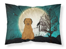 Halloween Scary Briard Brown Standard Pillowcase Lightweight Super Soft Easy Care Decorative Artwork Pillowcase, Standard
