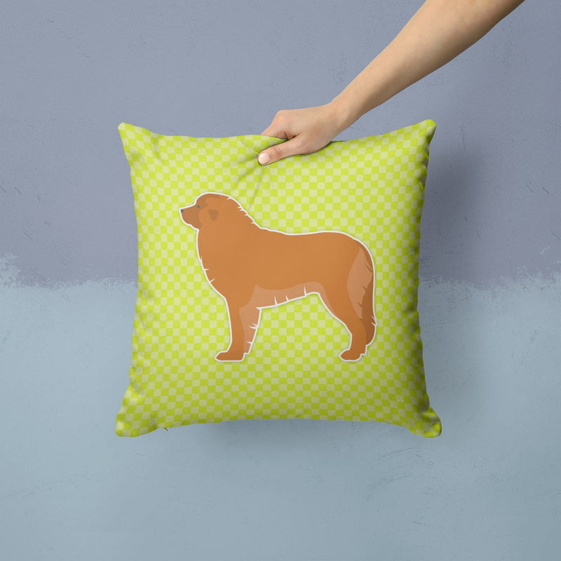 Leonberger Checkerboard Green Fabric Decorative Pillow BB3858PW1414