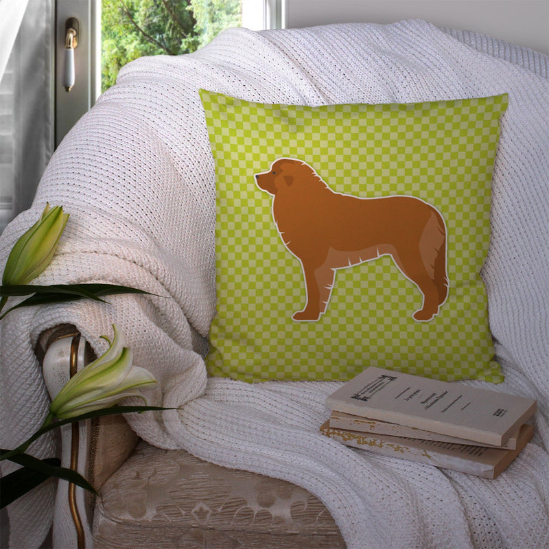 Leonberger Checkerboard Green Fabric Decorative Pillow BB3858PW1414