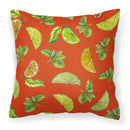 Lemons, Limes and Oranges Decorative Throw Pillow 18x18 Indoor Outdoor Accent Cushion, Fabric Cover with Insert for Sofa, Bed, Porch & Living Room