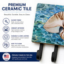 Sea Shell and Water Leash or Key Holder Wall Hooks, Coat Rack Wall Mount, for Hanging Keys, Towels, Aprons, Leashes