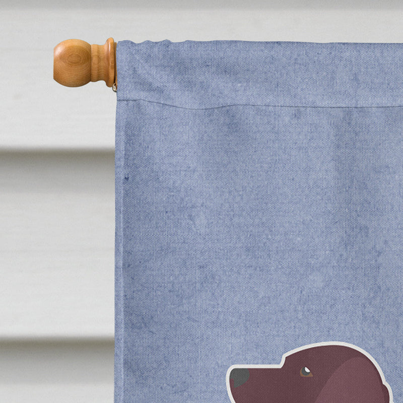 American Water Spaniel Welcome Flag Canvas House Size BB5505CHF