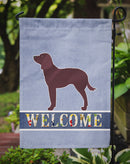 American Water Spaniel Welcome Garden Flag - Outdoor Decorative Yard Flag BB5505GF