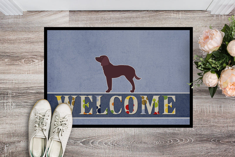 American Water Spaniel Welcome Doormat - 24x36 Decorative Floor Mat – Indoor/Outdoor Rug with Artistic Flair BB5505JMAT