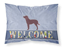American Water Spaniel Welcome Fabric Standard Pillowcase – Artistic Decorative Front, White Back BB5505PILLOWCASE