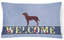American Water Spaniel Welcome Canvas Fabric Decorative Pillow BB5505PW1216