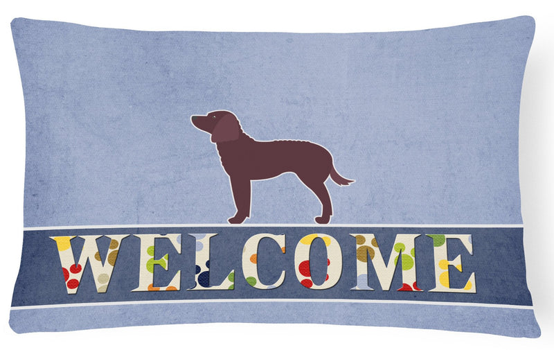 American Water Spaniel Welcome Canvas Fabric Decorative Pillow BB5505PW1216