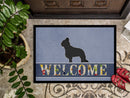 Briard Welcome Doormat Indoor Outdoor 24H X 36W Front Door Mat Rugs for Entryway, Non Slip Washable Low Pile,