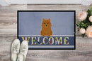 Norwich Terrier Welcome Doormat Indoor Outdoor 18H X 27W Front Door Mat Rugs for Entryway, Non Slip Washable