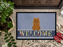 Norwich Terrier Welcome Doormat Indoor Outdoor 18H X 27W Front Door Mat Rugs for Entryway, Non Slip Washable