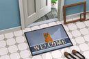 Norwich Terrier Welcome Doormat Indoor Outdoor 18H X 27W Front Door Mat Rugs for Entryway, Non Slip Washable