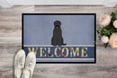 Black Russian Terrier Welcome Doormat - 18x27 Decorative Floor Mat – Indoor/Outdoor Rug with Artistic Flair BB5607MAT