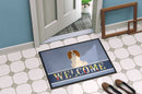 Cavalier Spaniel Welcome Doormat Indoor Outdoor 18H X 27W Front Door Mat Rugs for Entryway, Non Slip Washable