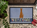 Irish Terrier Welcome Doormat Indoor Outdoor 18H X 27W Front Door Mat Rugs for Entryway, Non Slip Washable