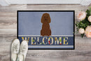 Irish Water Spaniel Welcome Doormat Indoor Outdoor 18H X 27W Front Door Mat Rugs for Entryway, Non Slip Washable