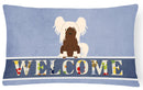 Chinese Crested Cream Welcome Decorative Throw Pillow 12x16 Indoor Outdoor Accent Cushion, Fabric Cover with Insert for Sofa, Bed, Porch & Living Room