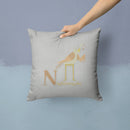 Alphabet N for Nightingale Throw Pillow - 14x14 Decorative Pillow – Art for Your Home & Patio BB5739PW1414