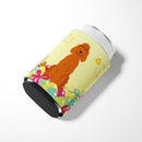 Easter Eggs Irish Setter Can or Bottle Hugger Cooler Sleeve for Standard 12 oz Cans, Insulated Foam Beer & Soda Can Hugger Reusable