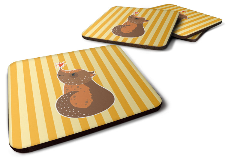 Opossum Love Foam Coaster  BB6743FC