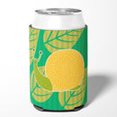 Snail Can or Bottle Hugger Cooler Sleeve for Standard 12 oz Cans, Insulated Foam Beer & Soda Can Hugger Reusable