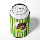 Fairy Green Stripes Can or Bottle Hugger Cooler Sleeve for Standard 12 oz Cans, Insulated Foam Beer & Soda Can Hugger Reusable