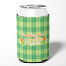 Fall Pumpkin Spice Gingham Can or Bottle Hugger Cooler Sleeve for Standard 12 oz Cans, Insulated Foam Beer & Soda Can Hugger Reusable